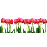 Vliesové fototapety tulipány rozmer 375 cm x 150 cm
