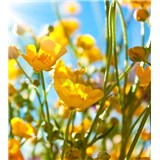 Vliesové fototapety žlté kvety rozmer 225 cm x 250 cm