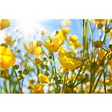 Vliesové fototapety žlté kvety rozmer 375 cm x 250 cm