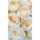Vliesové fototapety biele ruže rozmer 150 cm x 250 cm - POSLEDNÉ KUSY
