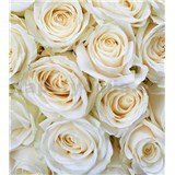 Vliesové fototapety biele ruže rozmer 225 cm x 250 cm - POSLEDNÉ KUSY