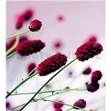 Vliesové fototapety kvetiny fialové rozmer 225 cm x 250 cm