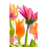 Vliesové fototapety jarné kvety rozmer 150 cm x 250 cm