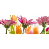 Vliesové fototapety jarné kvety rozmer 375 cm x 150 cm