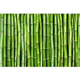 Vliesové fototapety bambus rozmer 375 cm x 250 cm