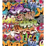 Vliesové fototapety graffiti rozmer 225 cm x 250 cm