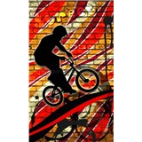 Vliesové fototapety bicycle red rozmer 150 cm x 250 cm