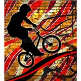 Vliesové fototapety bicycle red rozmer 225 cm x 250 cm