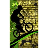 Vliesové fototapety bicycle green rozmer 150 cm x 250 cm