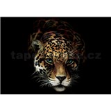 Vliesové fototapety jaguár rozmer 368 cm x 254 cm