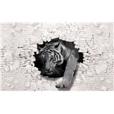 Vliesové fototapety biely tyger a 3D stena rozmer 368 cm x 254 cm