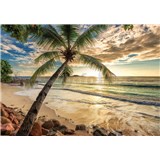 Vliesové fototapety palma a pláž rozmer 368 cm x 254 cm