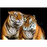 Vliesové fototapety tigre, rozmer 312 x 219 cm