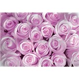 Vliesové fototapety ružové ruže, rozmer 312 x 219 cm