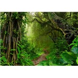 Vliesové fototapety chodník v džungli rozmer 368 cm x 254 cm