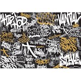 Vliesové fototapety graffiti rozmer 368 cm x 254 cm