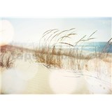 Vliesové fototapety steblá trávy na pláži rozmer 368 cm x 254 cm