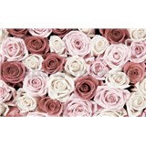 Fototapety ruže, rozmer 368 cm x 254 cm