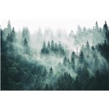 Vliesové fototapety les v hmle rozmer 375 cm x 250 cm