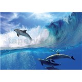 Vliesové fototapety delfíny, rozmer 312 cm x 219 cm