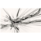 Vliesové fototapety abstrakcie čierno-biela, rozmer 208 cm x 146 cm