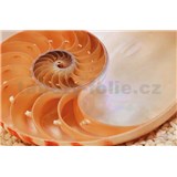 Fototapeta National Geographic Nautilus, rozmer 184 x 127 cm - POSLEDNÝ KUS