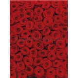 Fototapeta červené ruže, rozmer 183 x 254 cm - POSLEDNÝ KUS