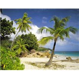 Fototapeta Praslin, rozmer 368 x 254 cm - POSLEDNÉ KUSY