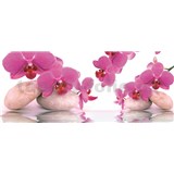 Vliesové fototapety orchidea s kameňmi, rozmer 250 x 104 cm