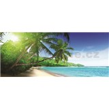 Vliesove fototapety palmy na pláži, rozmer 250 x 104 cm