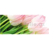 Vliesové fototapety tulipány, rozmer 250 x 104 cm