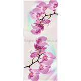 Vliesové fototapety orchidea, rozmer 91 x 211 cm