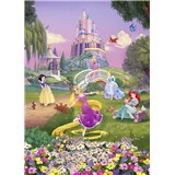 Fototapety Disney Princess západ slnka rozmer 184 cm x 254 cm