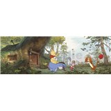 Fototapeta Disney Medvedík Pú