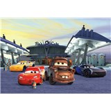 Fototapety Disney Cars 3 Mc Queen a Burák stanovisko rozmer 368 cm x 254 cm