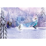 Fototapety Disney Frozen les rozmer 368 cm x 254 cm