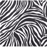 Samolepiace tapety - zebra 90 cm x 15 m