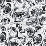 Samolepiace tapety ruže sivé 45 cm x 15 m