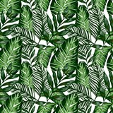 Samolepiace tapety tropical listy - 67,5 cm x 15 m