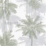 Vliesové tapety na stenu IMPOL Giulia palmy sivo-zelené - POSLEDNÉ KUSY