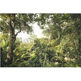 Vliesové fototapety džungle rozmer 368 cm x 248 cm
