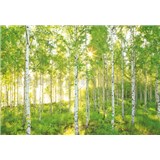 Vliesové fototapety les brezy rozmer 368 cm x 248 cm