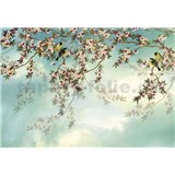 Papierové fototapety Sakura rozmer 368 cm x 254 cm