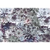 Fototapety Shades, rozmer 368 x 254 cm