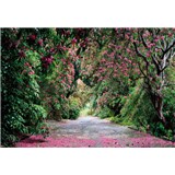 Fototapety Wicklow Park, rozmer 368 x 254 cm - POSLEDNÉ KUSY