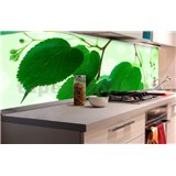 Samolepiace tapety za kuchynskú linku zelené listy rozmer 180 cm x 60 cm