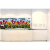 Samolepiace tapety za kuchynskú linku farebné tulipány rozmer 350 cm x 60 cm