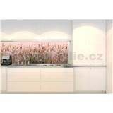 Samolepiace tapety za kuchynskú linku pšeničné pole rozmer 260 cm x 60 cm