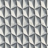 Vliesové tapety na stenu Harmony in Motion by Mac Stopa 3D tmavo sivý - POSLEDNÉ KUSY