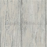 Vliesové tapety na stenu IMPOL drevo sivo-hnedé s modrými detailmi